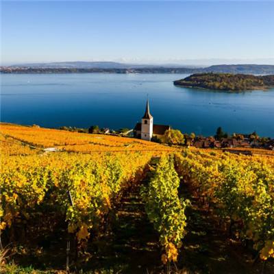 乐鱼体育首页官网登录手机版